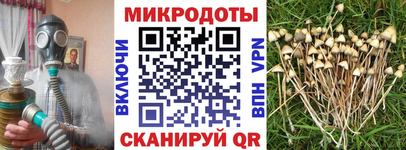 Галлюциногенные грибы ЛСД  Трёхгорный 